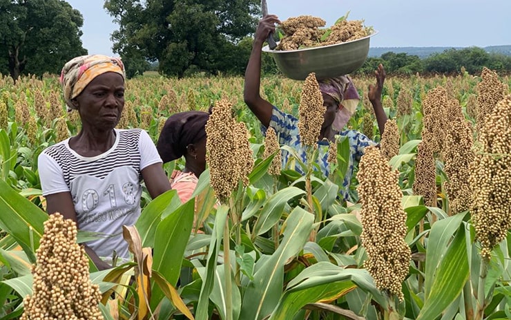 GHS 18 Million Invested in Sustainability